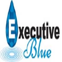 Executive Blue Pools image 2